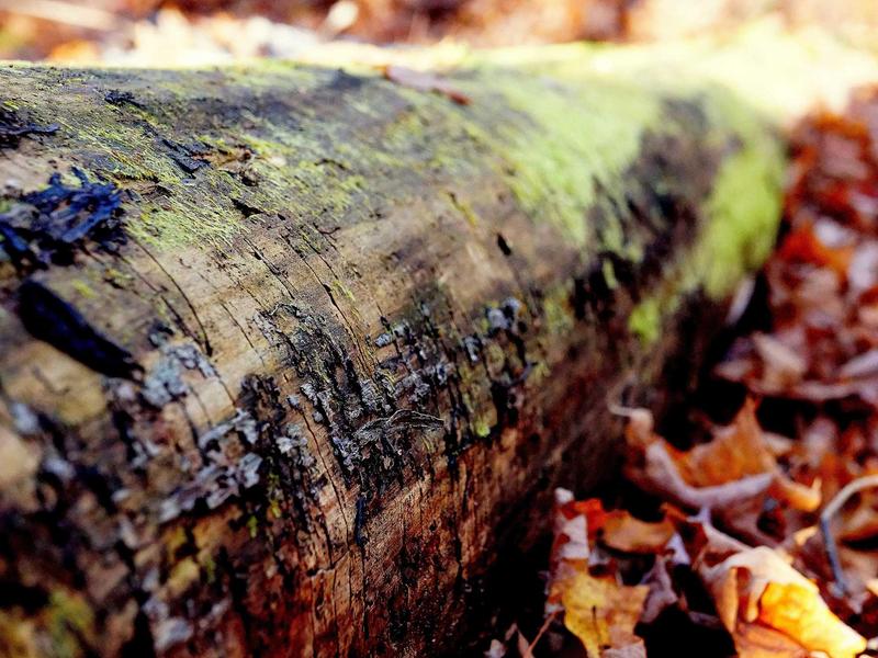 sudoku technique mastery